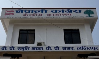 कांग्रेसद्वारा गठित कोरोना अनुगमन समिति र चिकित्सक संघबिच छलफल