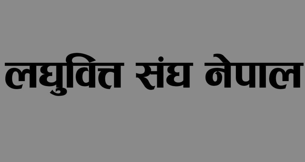लघुवित्तका सञ्चालकको आयोजनामा सिइओको सम्मेलन
