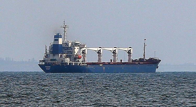 First ship with Ukrainian grain arrived in Istanbul