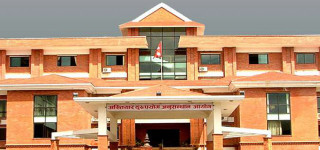 अख्तियारमा १ सय ३१ वटा मुद्दा दायर