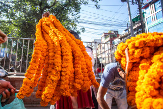 फुलको आयात २७ दशमलव ८८ प्रतिशतले घट्यो