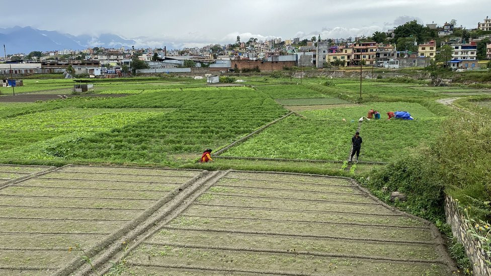 जग्गाको कित्ताकाट फुकुवा गर्ने अर्थमन्त्रीको घोषणा